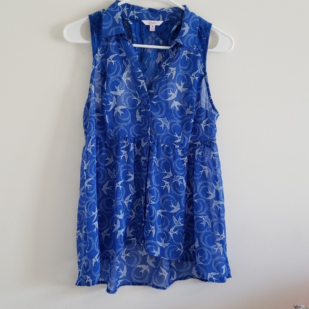 *Last Chance* Sparrow bird top